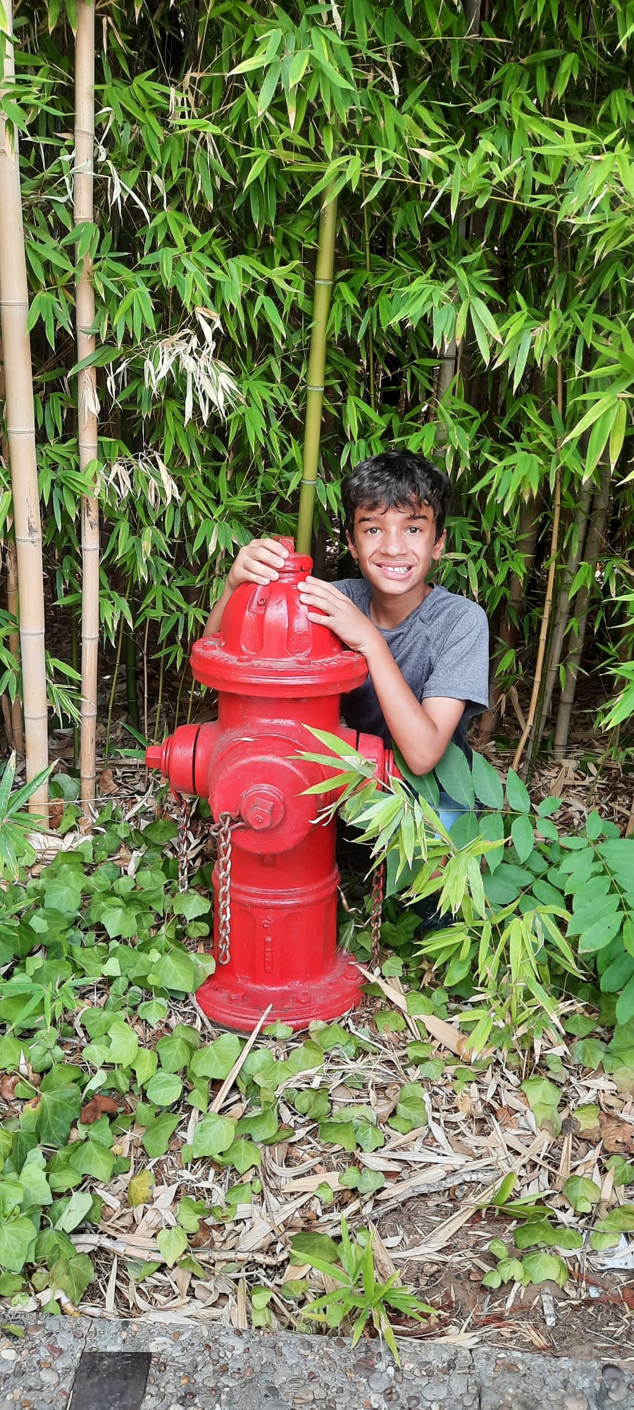 41dab5ca-9066-4f14-9143-aefd2995e5ec